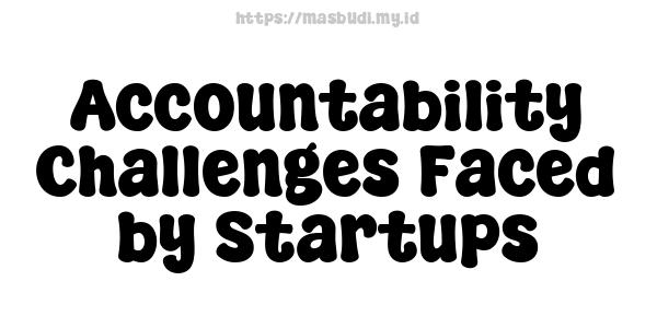 Accountability Challenges Faced by Startups