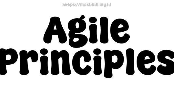 Agile Principles