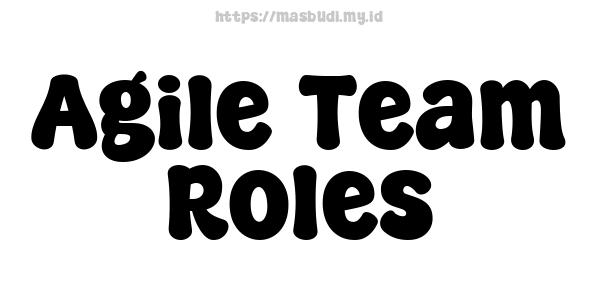 Agile Team Roles