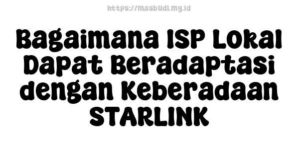 Bagaimana ISP Lokal Dapat Beradaptasi dengan Keberadaan STARLINK