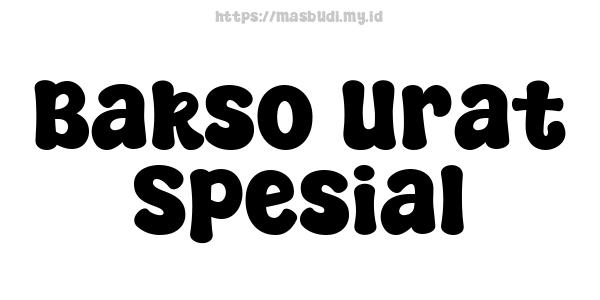 Bakso Urat Spesial