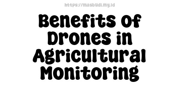 Benefits of Drones in Agricultural Monitoring