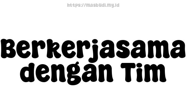 Berkerjasama dengan Tim