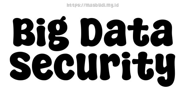 Big Data Security