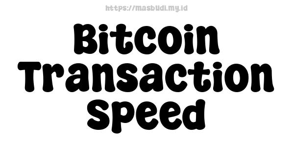 Bitcoin Transaction Speed