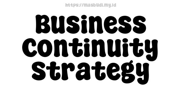 Business Continuity Strategy