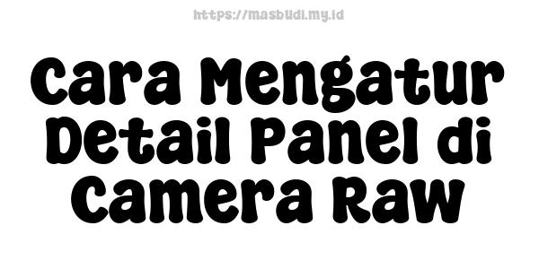 Cara Mengatur Detail Panel di Camera Raw