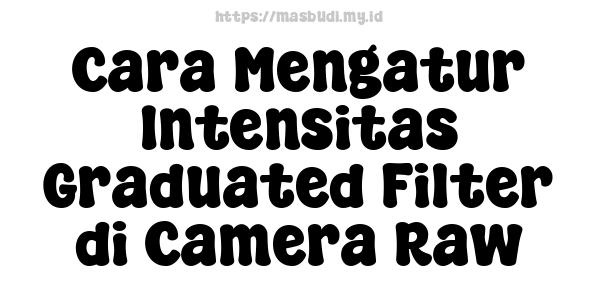 Cara Mengatur Intensitas Graduated Filter di Camera Raw