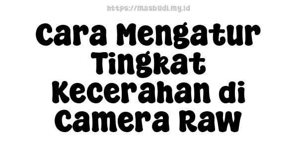 Cara Mengatur Tingkat Kecerahan di Camera Raw