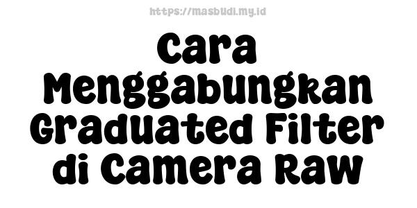 Cara Menggabungkan Graduated Filter di Camera Raw