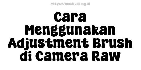 Cara Menggunakan Adjustment Brush di Camera Raw