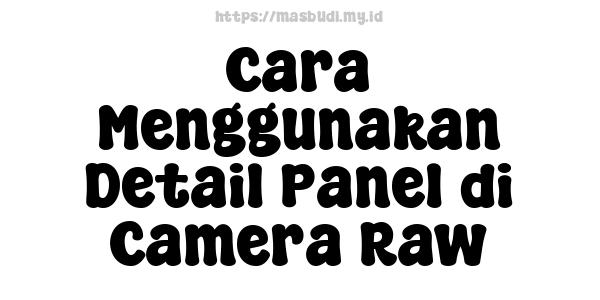 Cara Menggunakan Detail Panel di Camera Raw