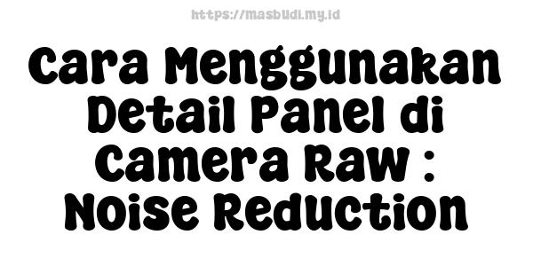 Cara Menggunakan Detail Panel di Camera Raw : Noise Reduction