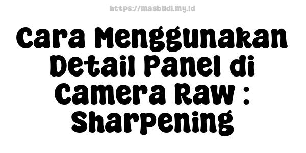 Cara Menggunakan Detail Panel di Camera Raw : Sharpening