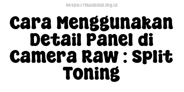 Cara Menggunakan Detail Panel di Camera Raw : Split Toning