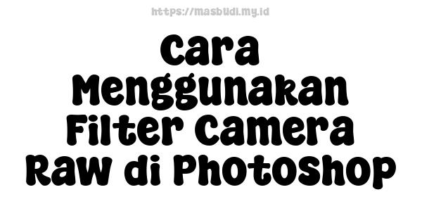 Cara Menggunakan Filter Camera Raw di Photoshop