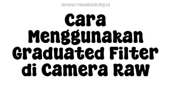 Cara Menggunakan Graduated Filter di Camera Raw