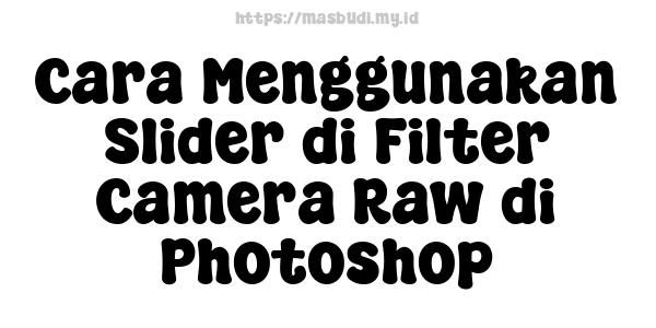 Cara Menggunakan Slider di Filter Camera Raw di Photoshop