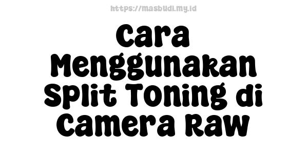 Cara Menggunakan Split Toning di Camera Raw