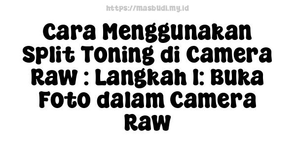 Cara Menggunakan Split Toning di Camera Raw : Langkah 1: Buka Foto dalam Camera Raw