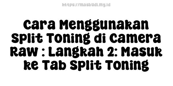 Cara Menggunakan Split Toning di Camera Raw : Langkah 2: Masuk ke Tab Split Toning