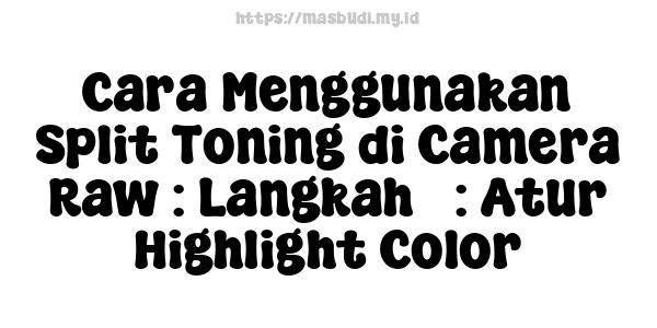 Cara Menggunakan Split Toning di Camera Raw : Langkah 3: Atur Highlight Color