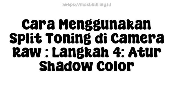 Cara Menggunakan Split Toning di Camera Raw : Langkah 4: Atur Shadow Color