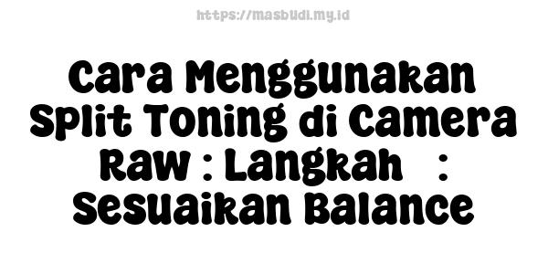 Cara Menggunakan Split Toning di Camera Raw : Langkah 5: Sesuaikan Balance