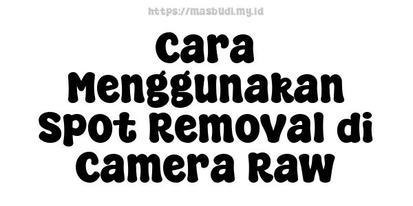 Cara Menggunakan Spot Removal di Camera Raw