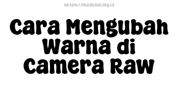 Cara Mengubah Warna di Camera Raw