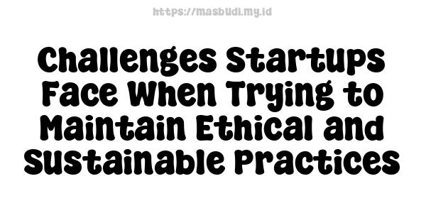 Challenges Startups Face When Trying to Maintain Ethical and Sustainable Practices