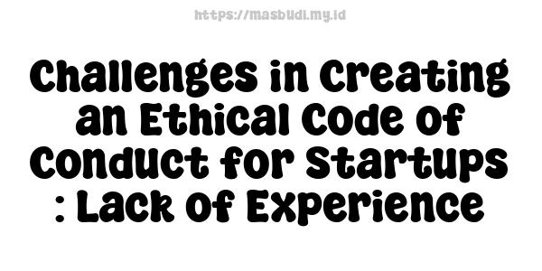 Challenges in Creating an Ethical Code of Conduct for Startups : Lack of Experience