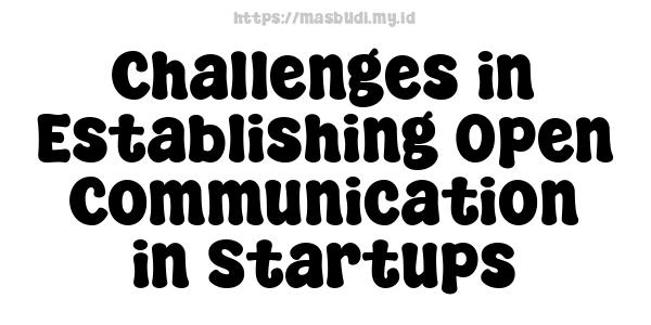 Challenges in Establishing Open Communication in Startups