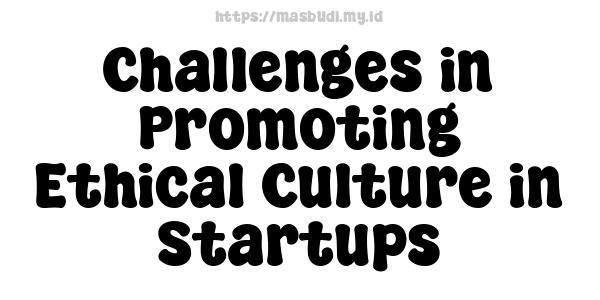 Challenges in Promoting Ethical Culture in Startups