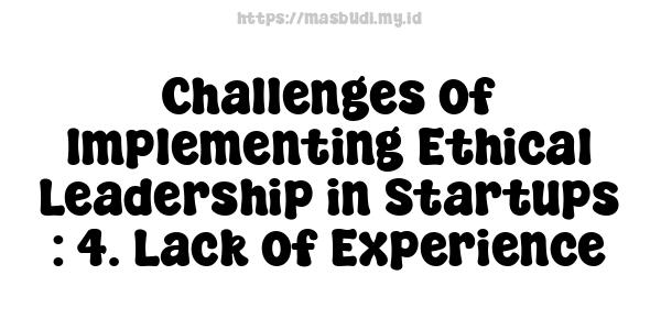 Challenges of Implementing Ethical Leadership in Startups : 4. Lack of Experience