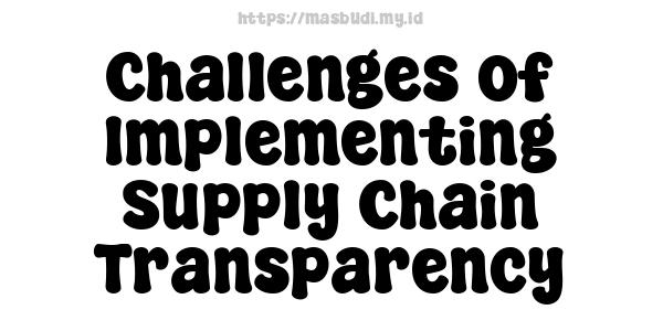 Challenges of Implementing Supply Chain Transparency