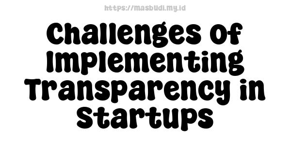 Challenges of Implementing Transparency in Startups