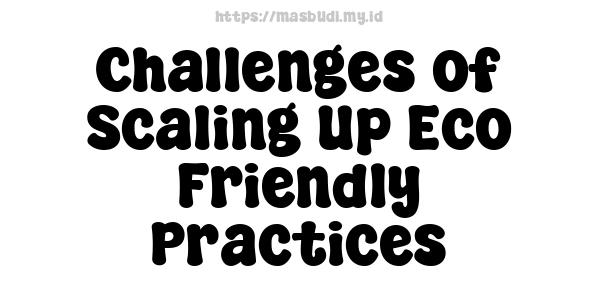 Challenges of Scaling Up Eco-Friendly Practices