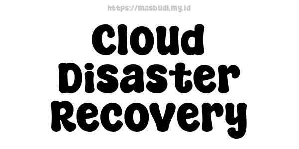 Cloud Disaster Recovery