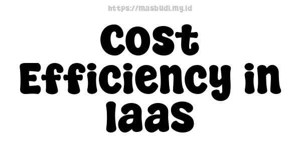 Cost Efficiency in IaaS