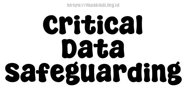 Critical Data Safeguarding