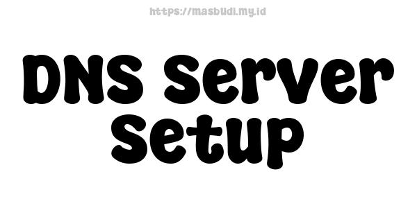 DNS Server Setup