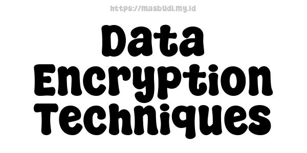 Data Encryption Techniques