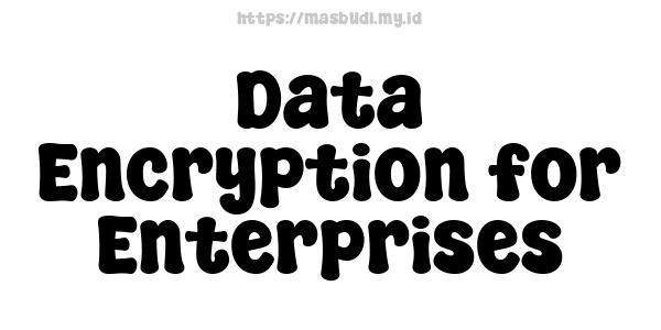 Data Encryption for Enterprises