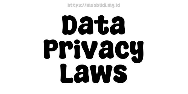 Data Privacy Laws