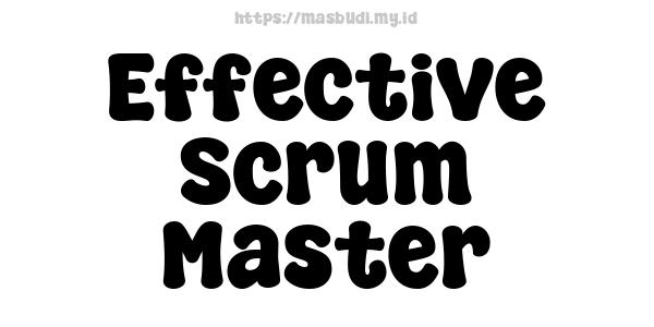 Effective Scrum Master