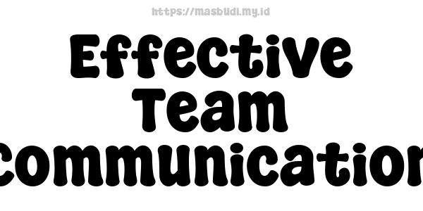 Effective Team Communication