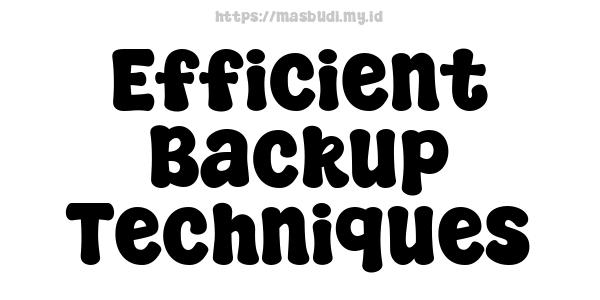 Efficient Backup Techniques