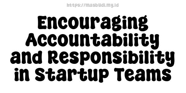 Encouraging Accountability and Responsibility in Startup Teams