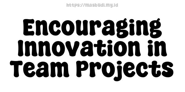 Encouraging Innovation in Team Projects